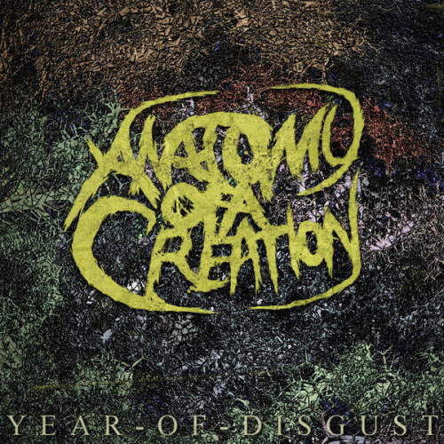 Anatomy Of A Creation : Year of Disgust